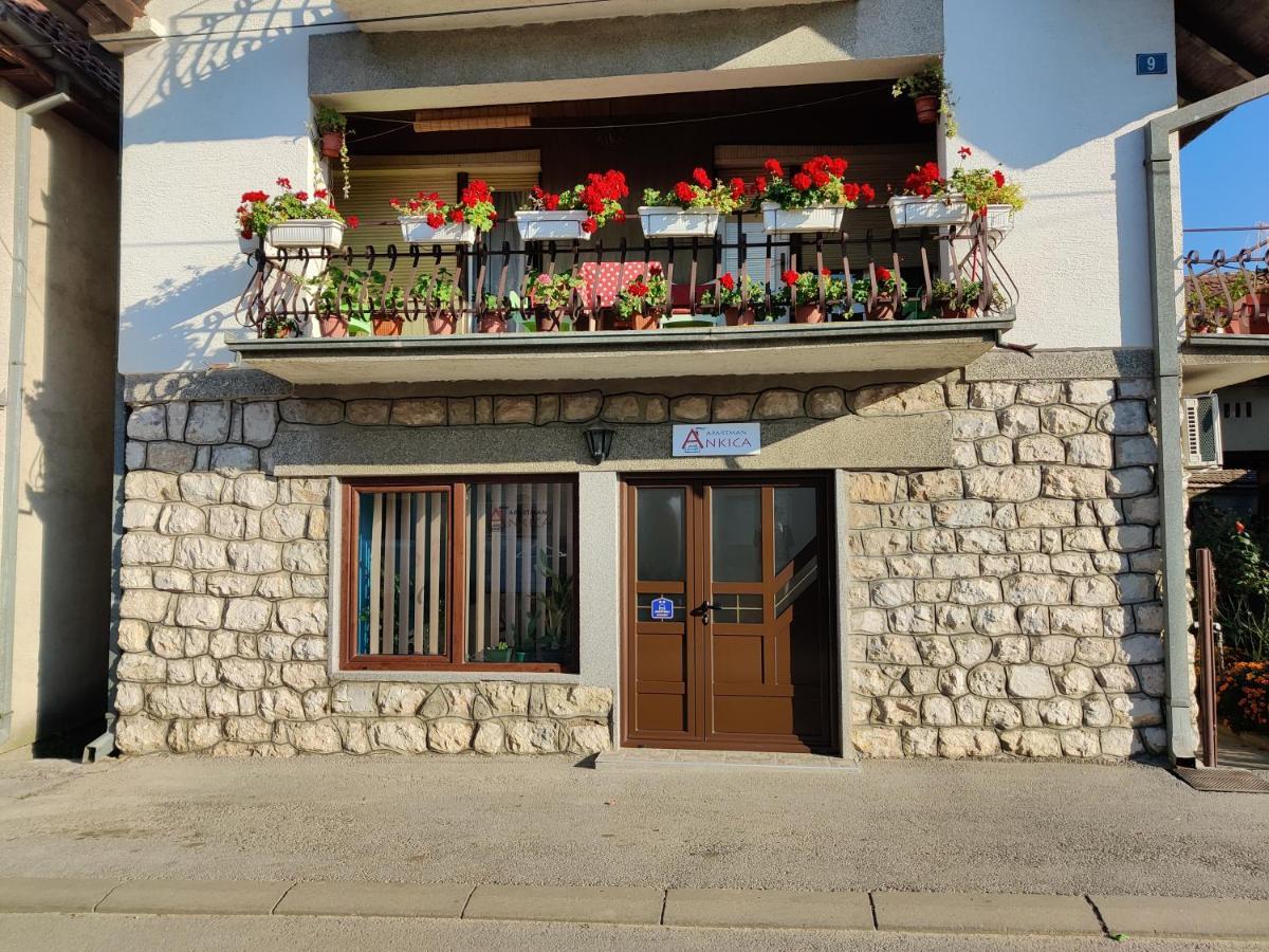 Apartman Ankica Golubac Buitenkant foto